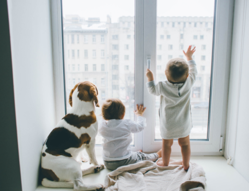 Choosing Child Safe Window Coverings: Why Shutters Are the Safest Option for UK Homes